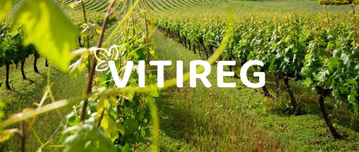 Vitireg Operational Group