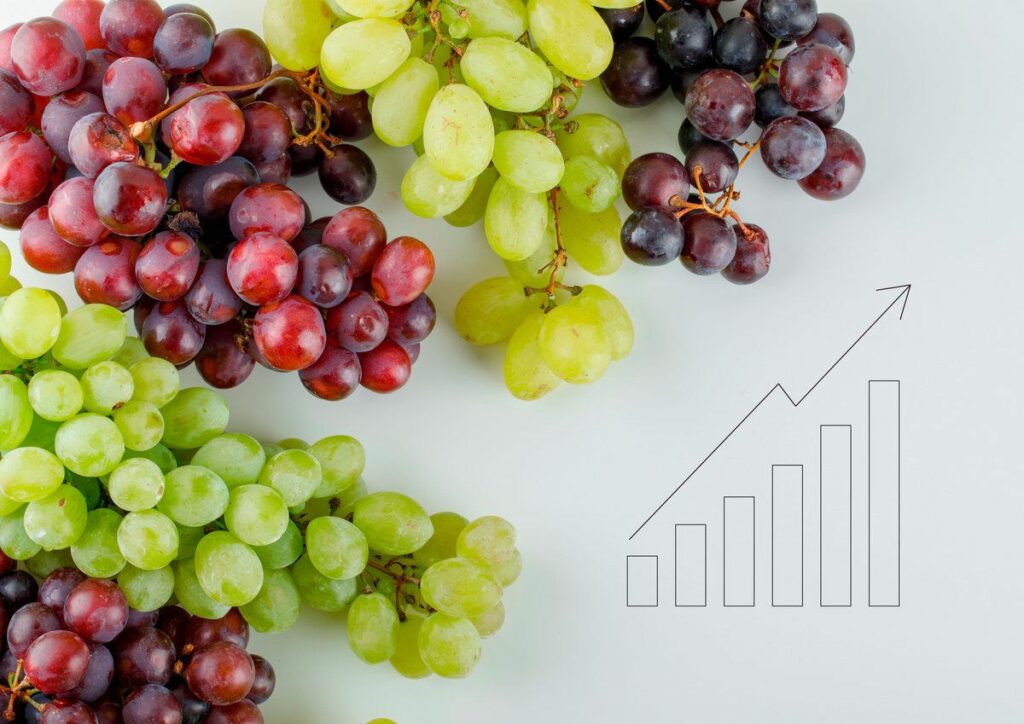 Evineyard Resultados Evineyard Resultados