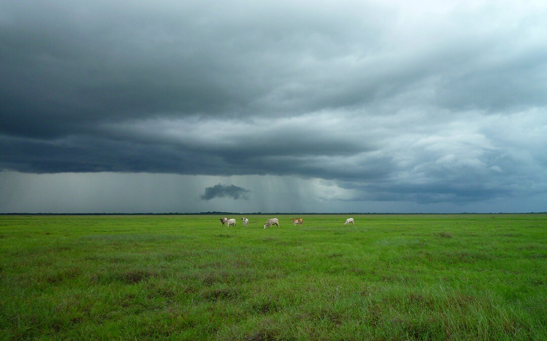 Weather Control