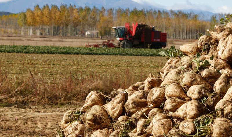 El proyecto EFFIREM aparece en el Diario de León: El proyecto EFFIREM impulsa el uso de tecnología innovadoras en los agricultores.