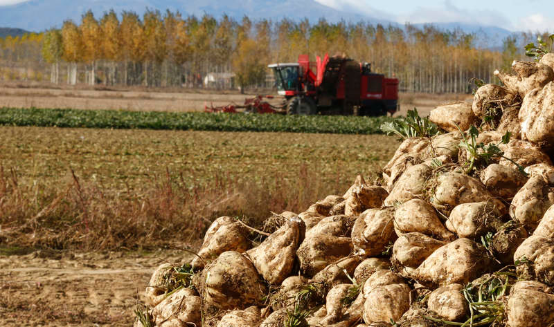El proyecto EFFIREM aparece en el Diario de León: El proyecto EFFIREM impulsa el uso de tecnología innovadoras en los agricultores.