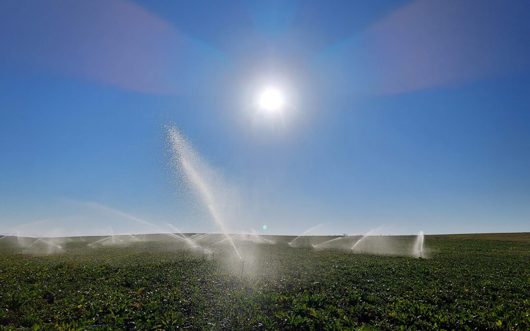 Arranca el Grupo Operativo EFFIREM para la reducción del consumo de agua y energía en remolacha