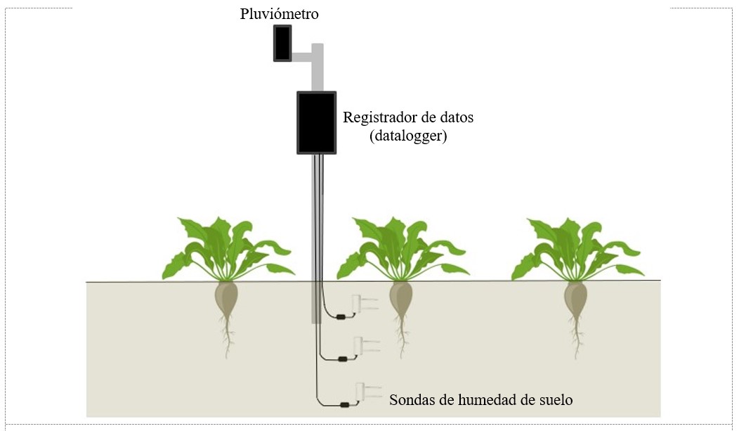 EFI-RIEGO participa en el proyecto EFFIREM con el asesoramiento especializado sobre el uso eficiente del agua de riego