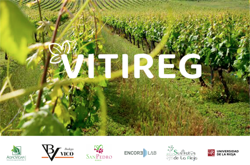 Proyecto Vitireg