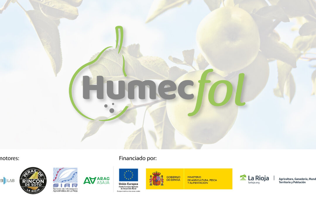 HUMECFOL arranca su recta final.